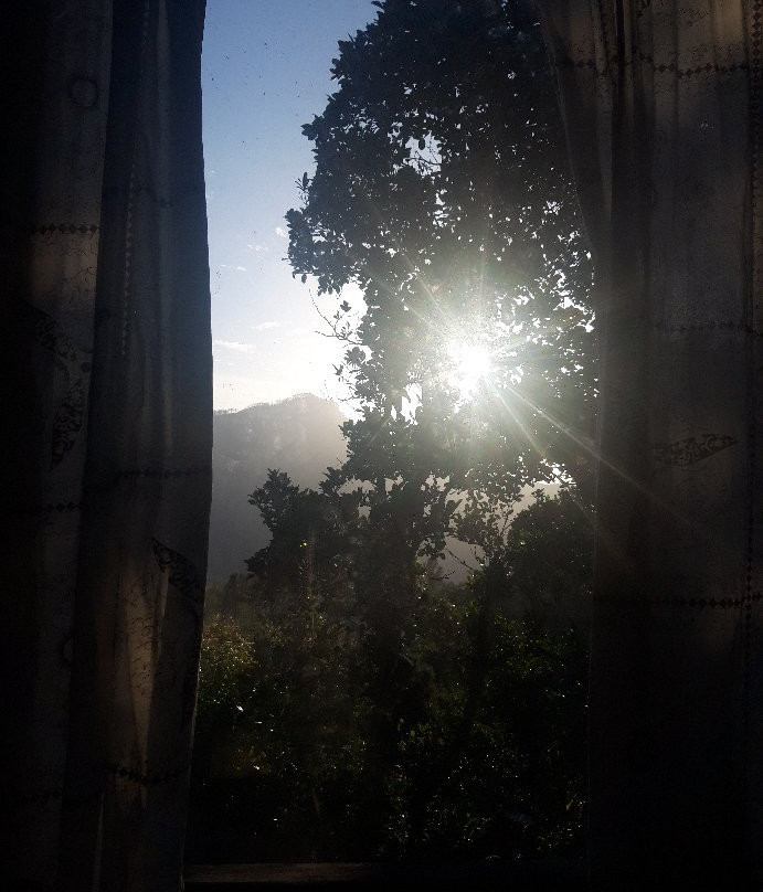 White Monkey - Dias Rest主图