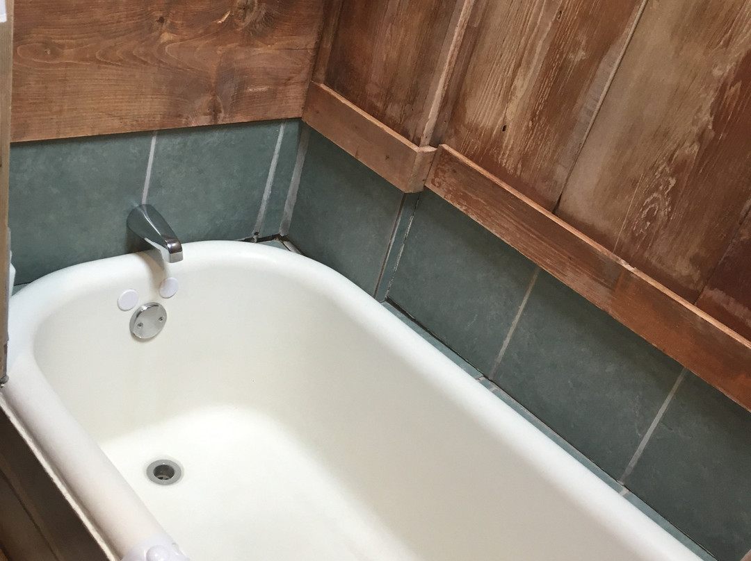 跳舞熊酒店主图