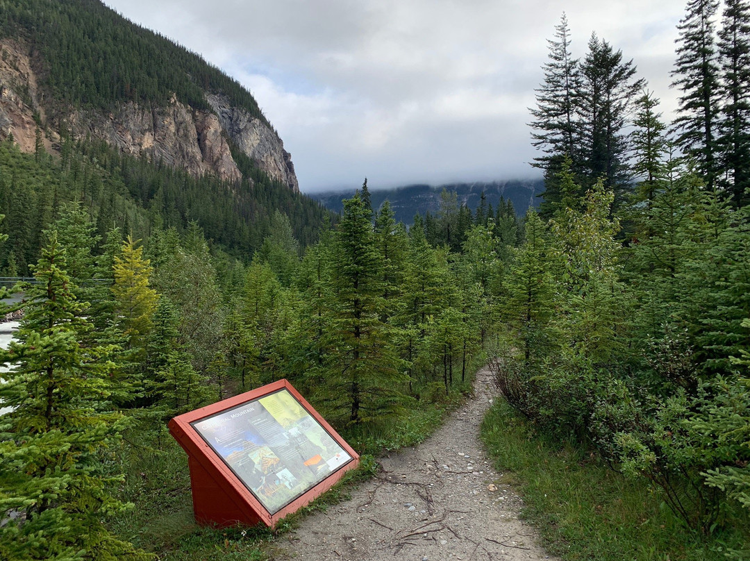 Kicking Horse River景点图片