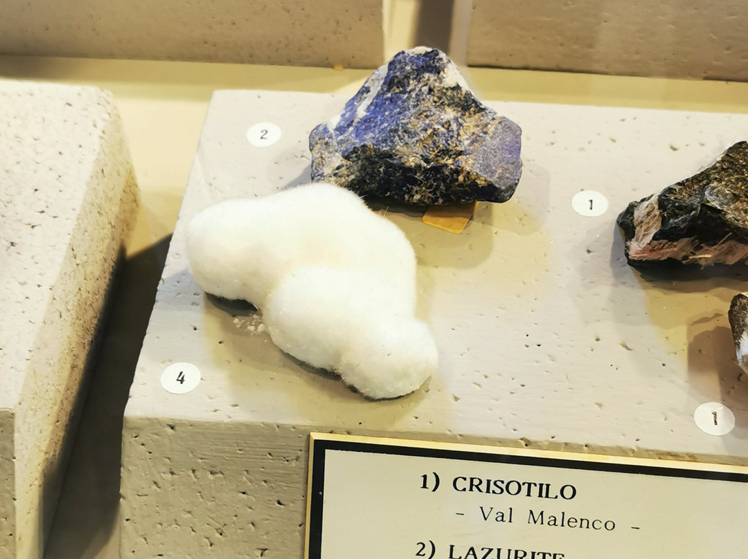 Museo Geopaleontologico di Cava Bomba景点图片