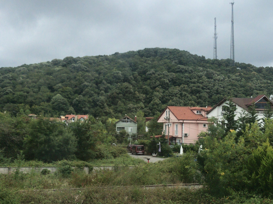 蓝宝石酒店主图