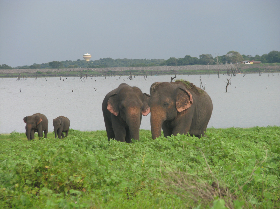 AnotherWorld Tours-锡吉里亚必去景点