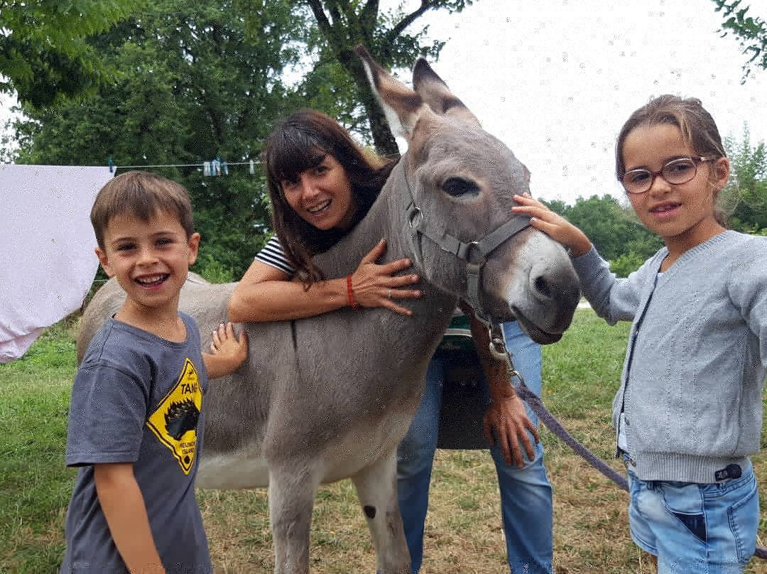 Au pas de l'âne-Les Eyzies-de-Tayac-Sireuil必去景点