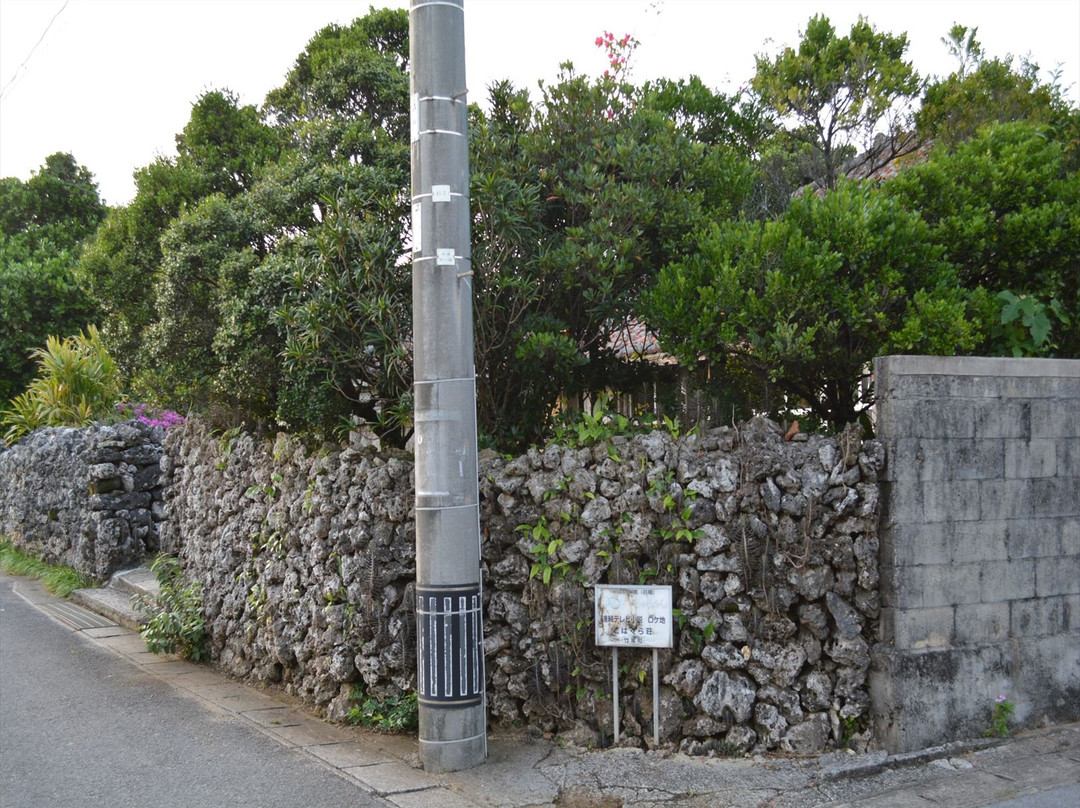 Kohaguraso景点图片