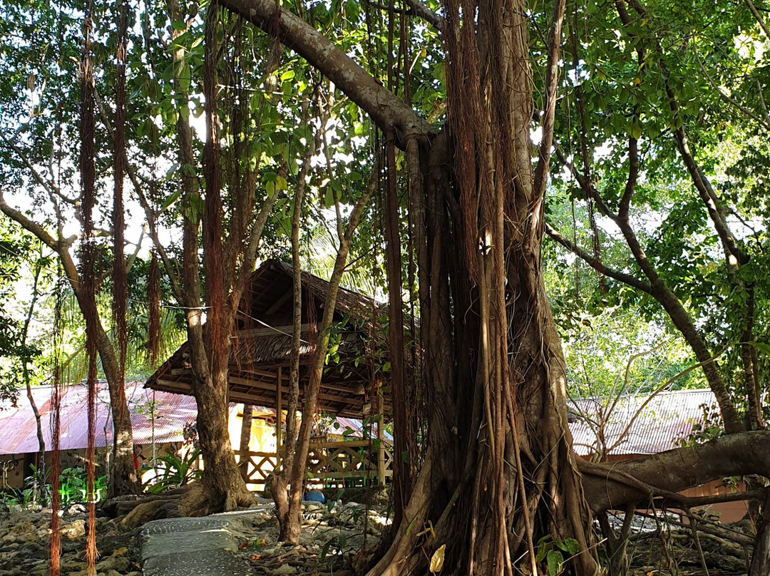 Hoga Island Dive Resort主图