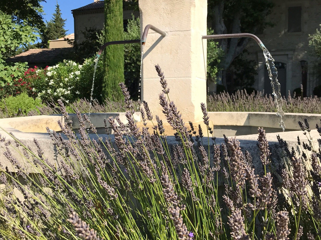 Domaine Clos Saint Estève主图