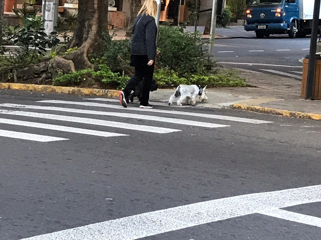 Padre Chagas-阿雷格里港必去景点