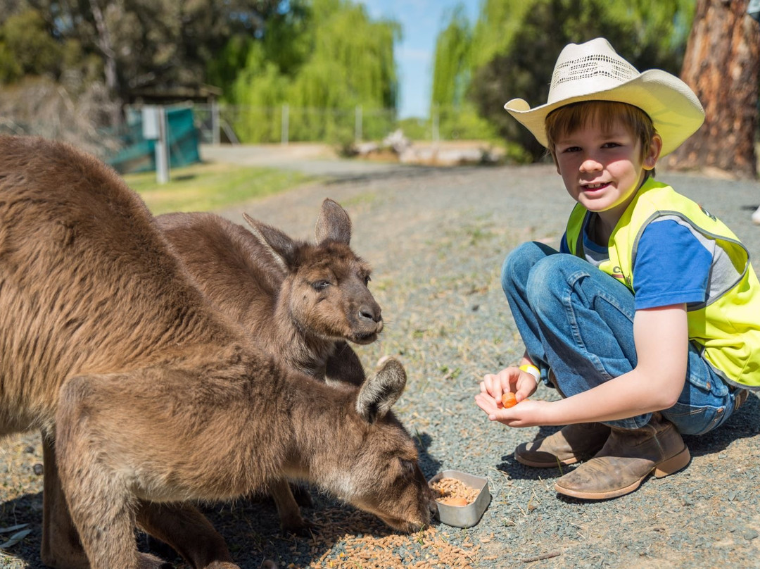 Kyabram Fauna Park景点图片