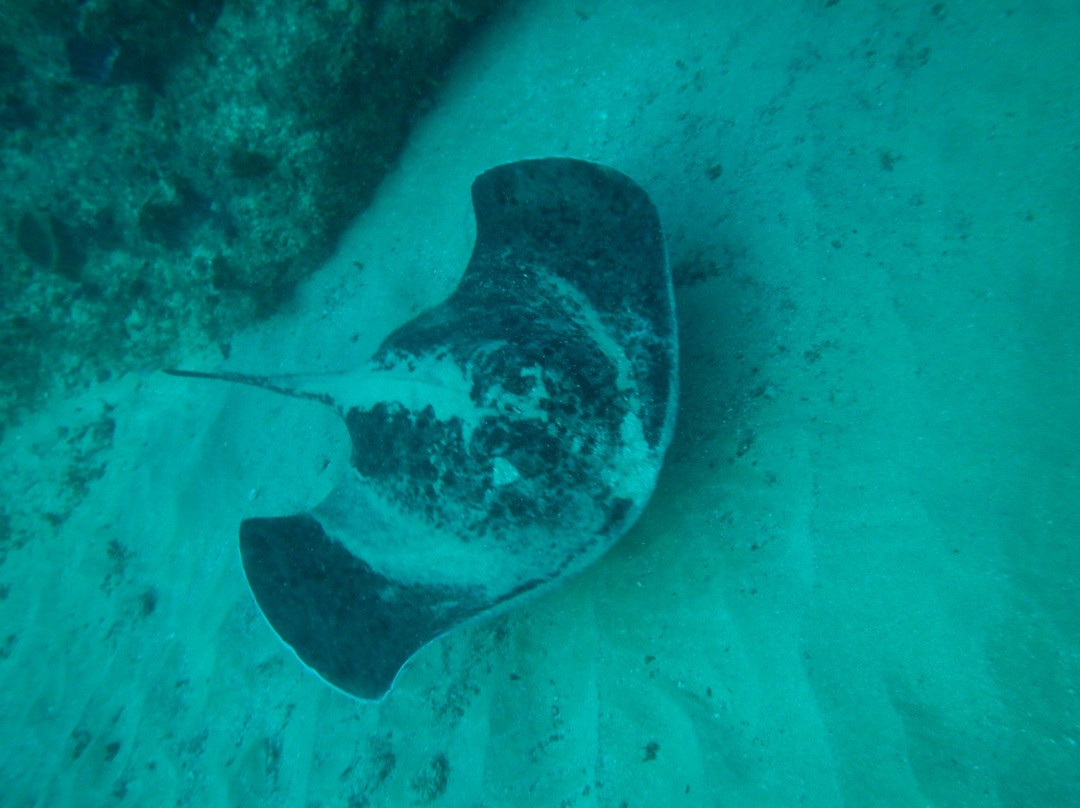 Crystal Divers-Scottburgh必去景点