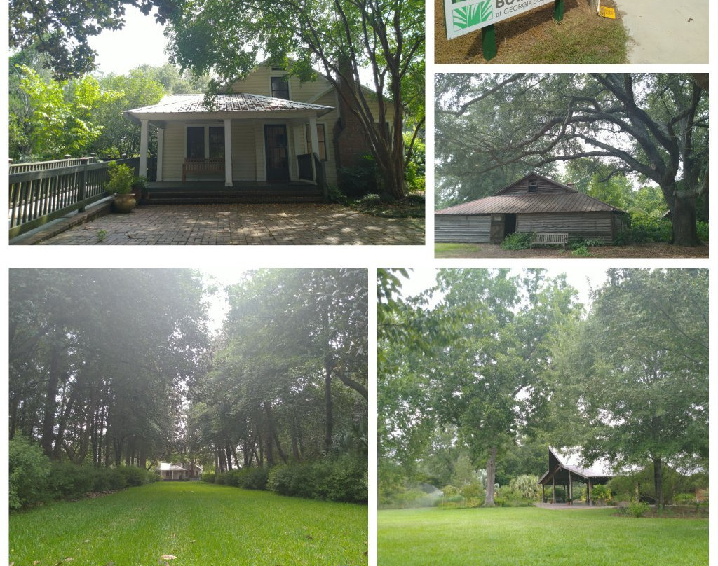 Garden of the Coastal Plain at Georgia Southern University-斯泰茨伯勒必去景点