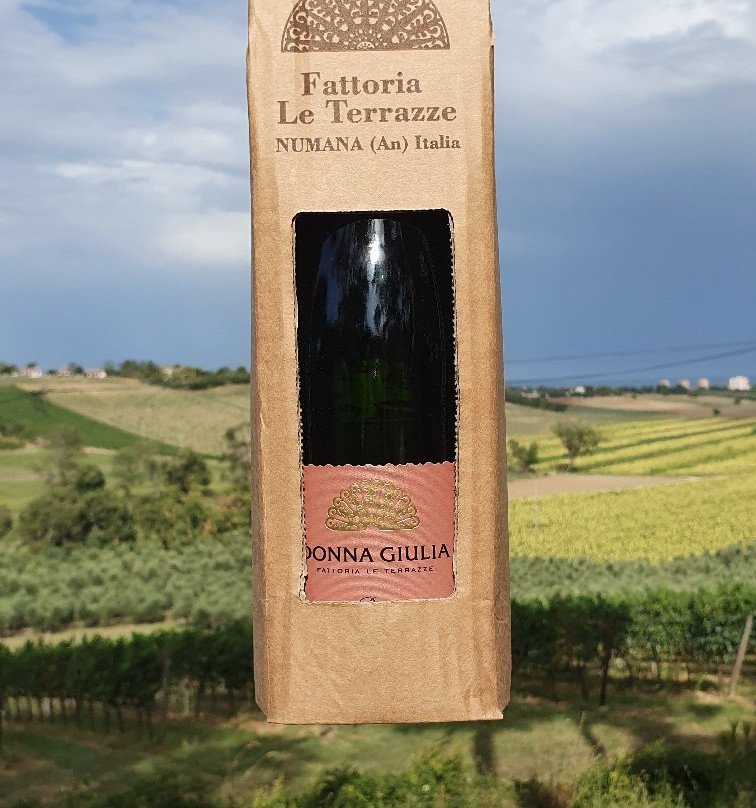 Fattoria le Terrazze-努马纳必去景点