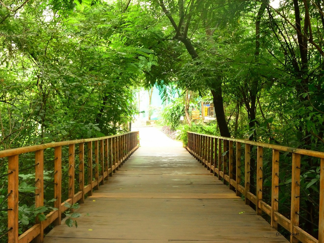 Area 83景点图片