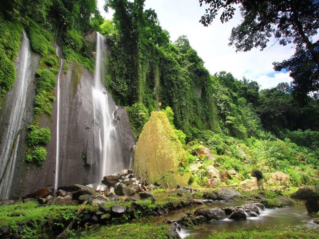 Lovina Bali Tours景点图片