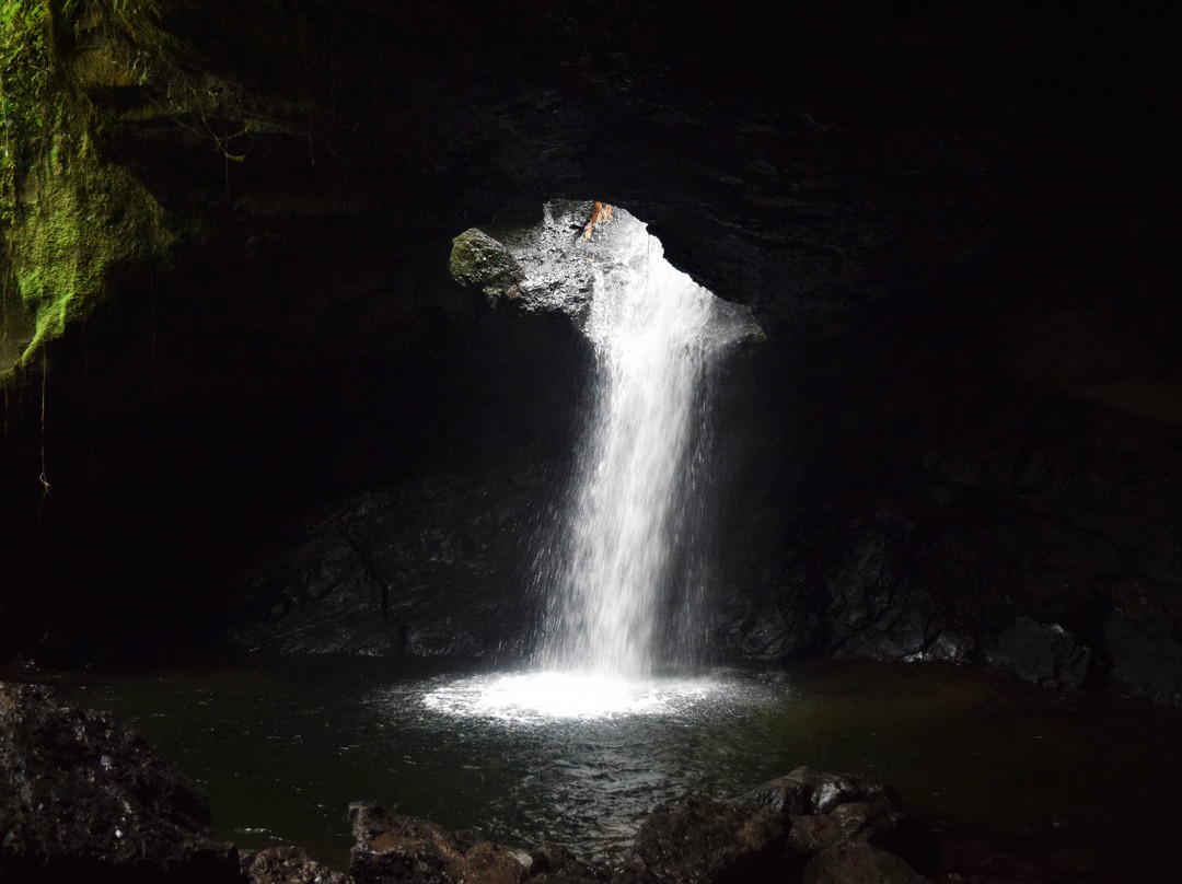 Cueva del Esplendor景点图片