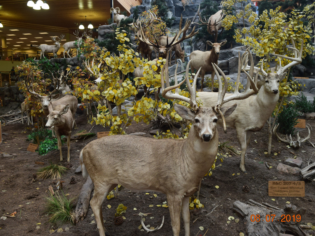 Cabela's-Hamburg必去景点