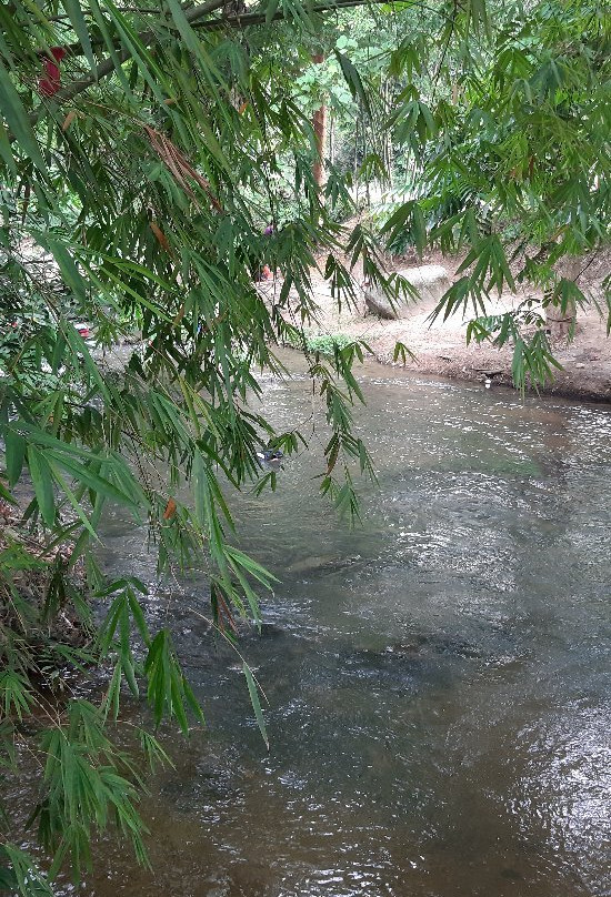 Pulau Santap-武吉丁宜高原必去景点