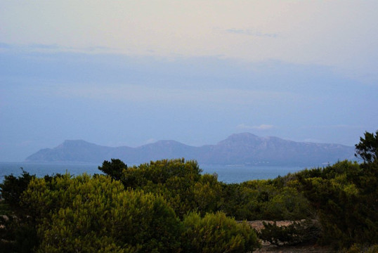斯蒂尔盆景酒店主图