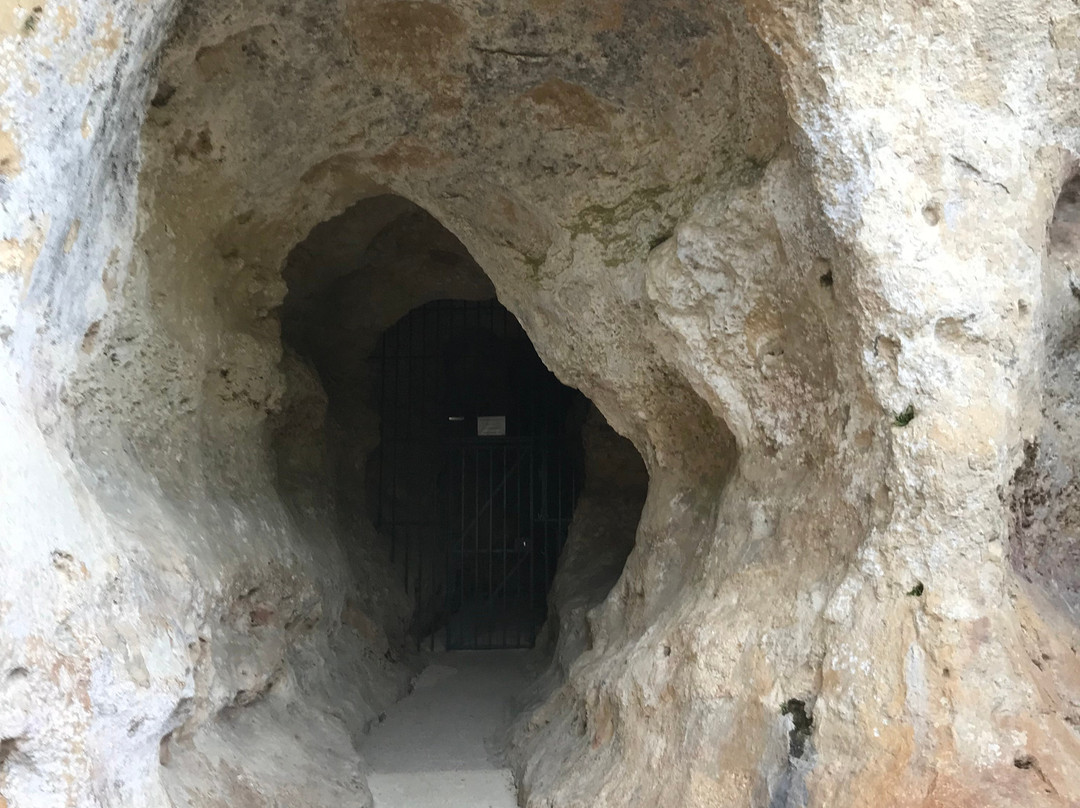 Font-de-Gaume Cave景点图片