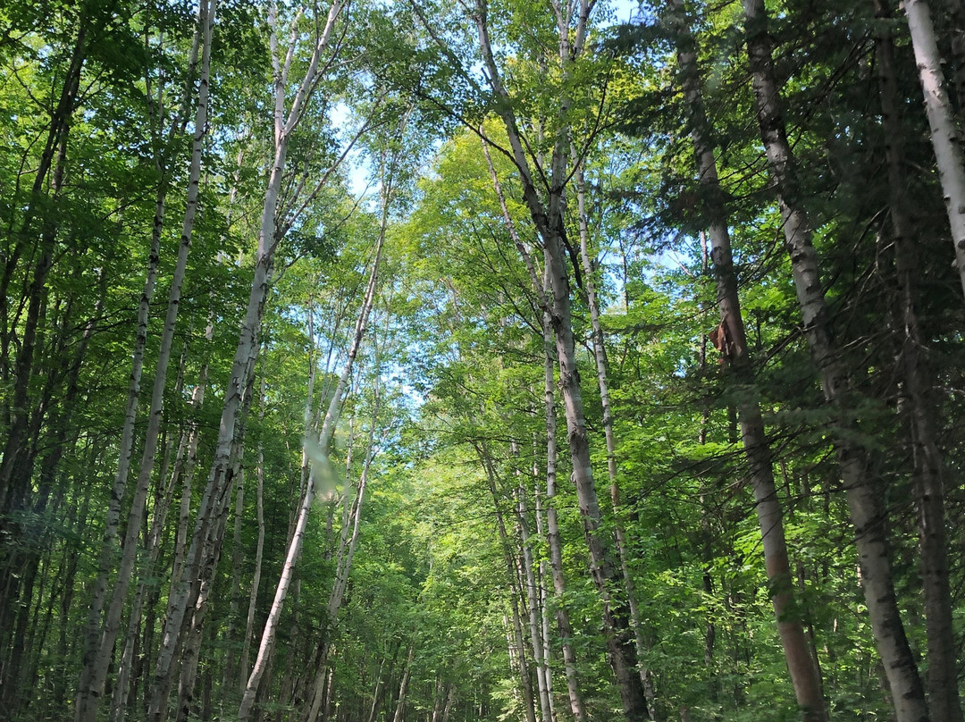 Miner's Beach-Shingleton必去景点