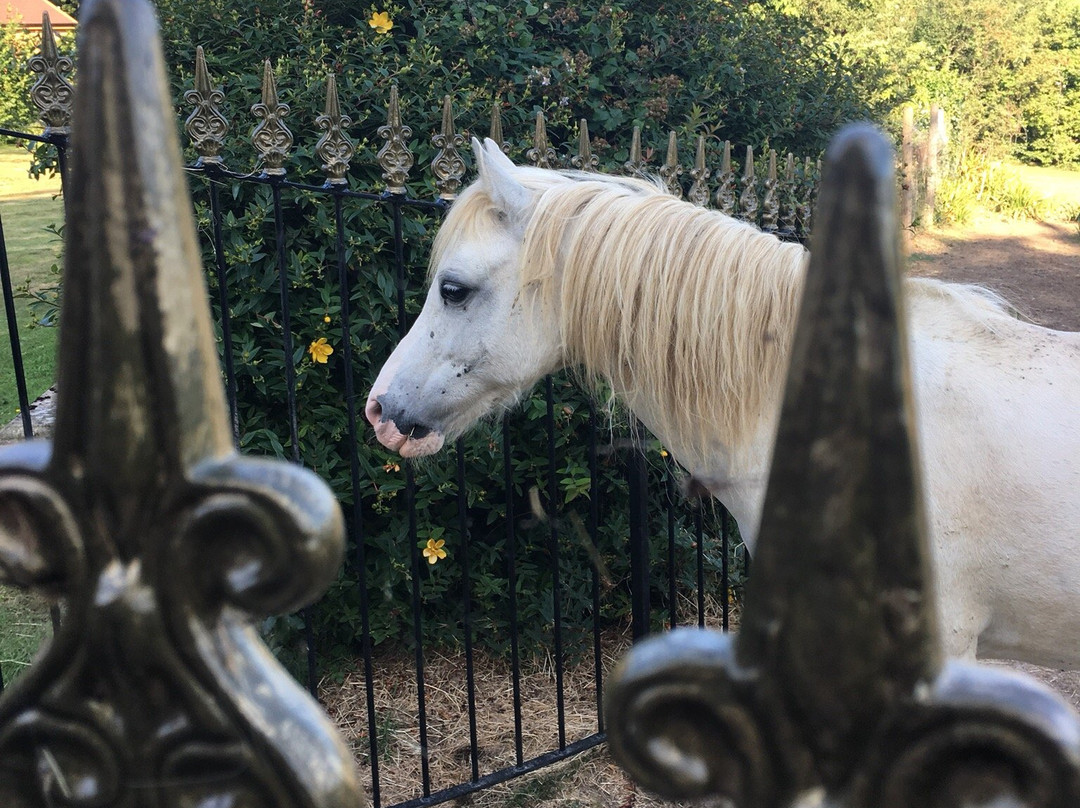 Cherry Orchard House主图