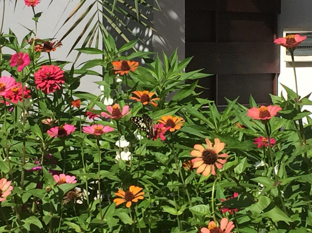 Savanh Sunset View Resort主图