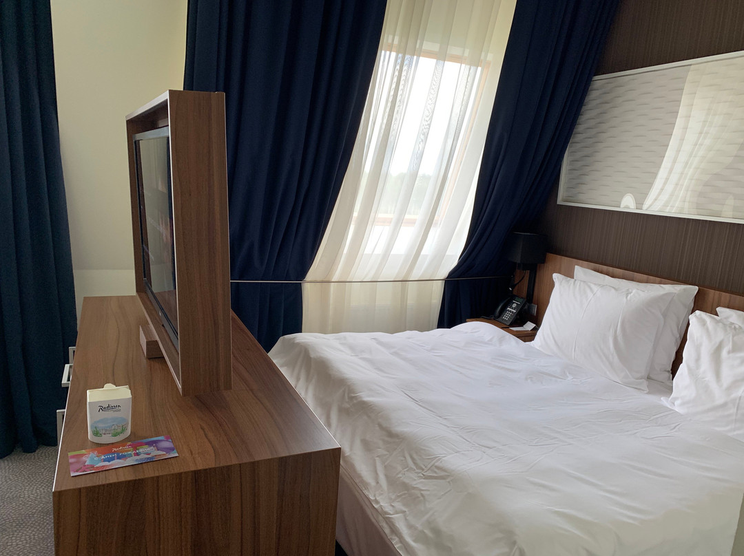 Radisson Resort, Zavidovo主图