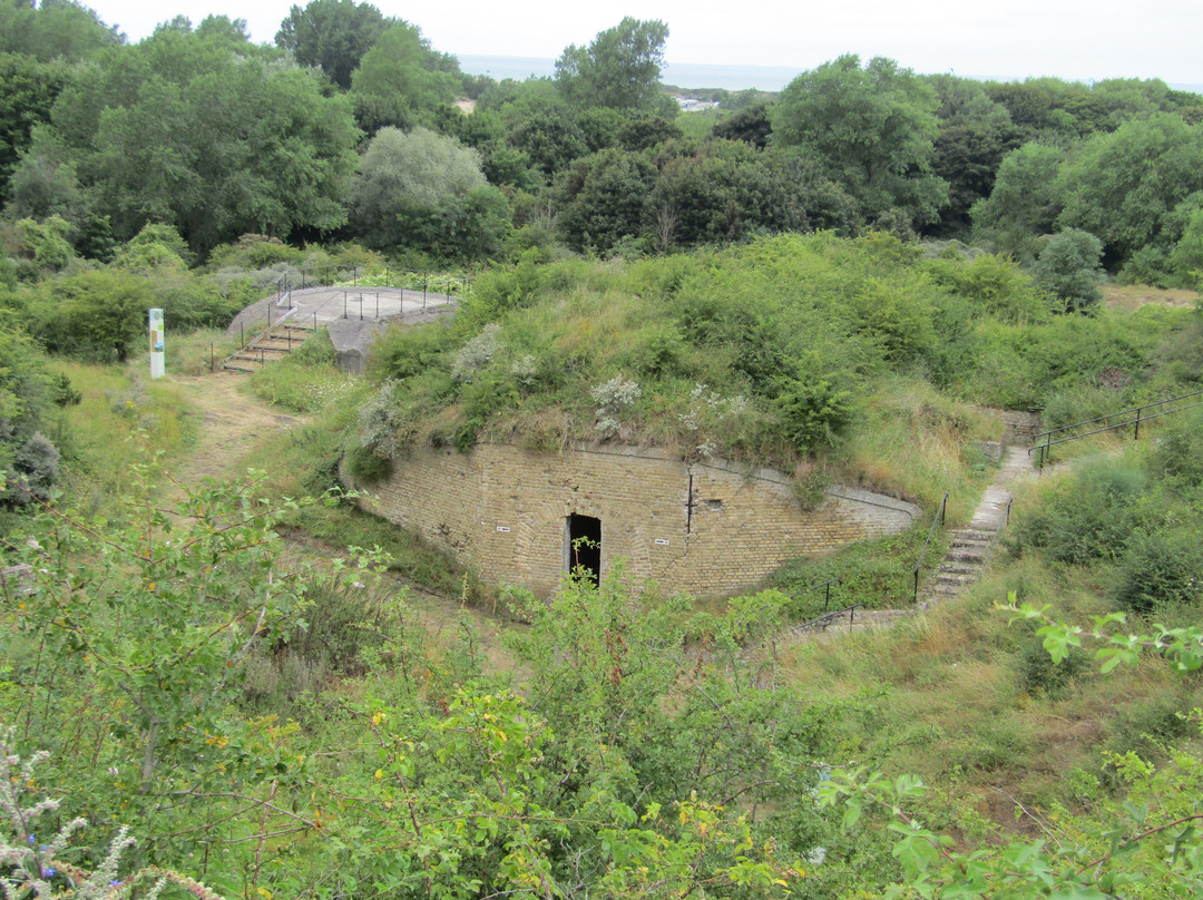 Fort des Dunes景点图片