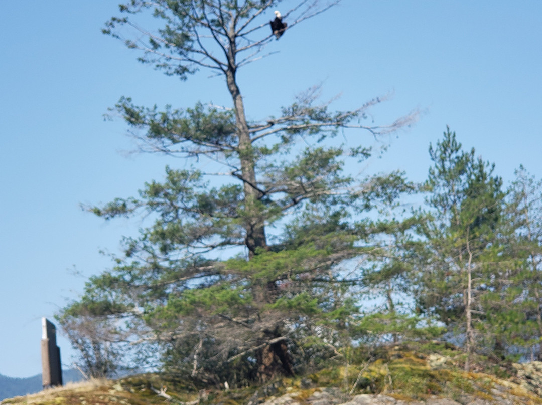 Egmont Adventure Center-Egmont必去景点