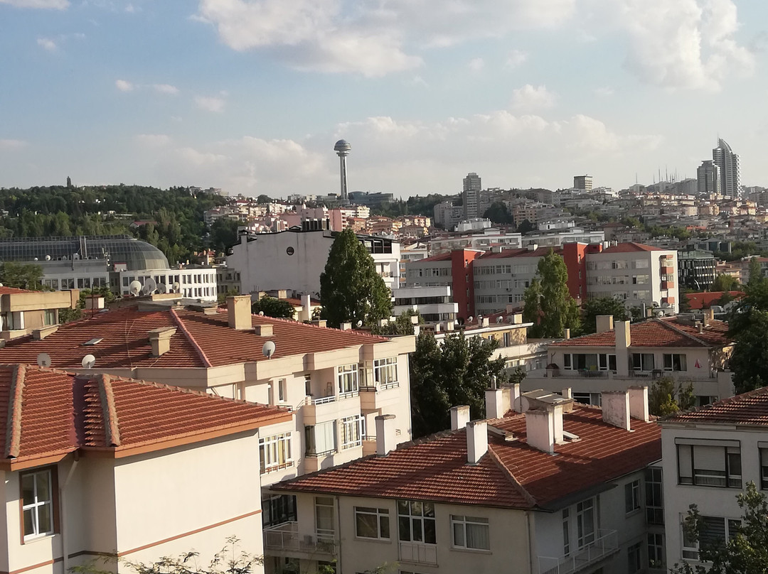 Sc Inn Hotel Ankara主图