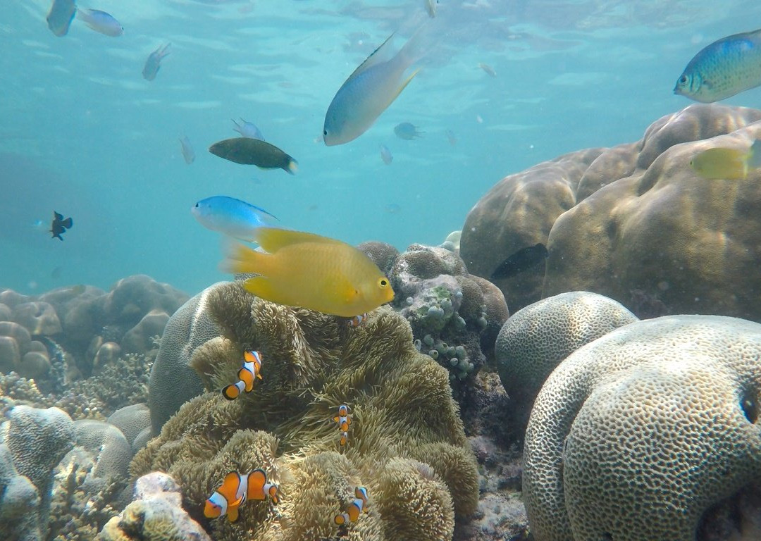 Pulau Banyak Online-Kepulauan Banyak必去景点