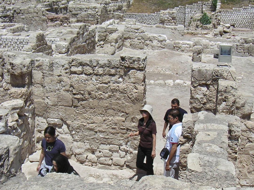 Egypt Tourism and Travel-吉萨必去景点