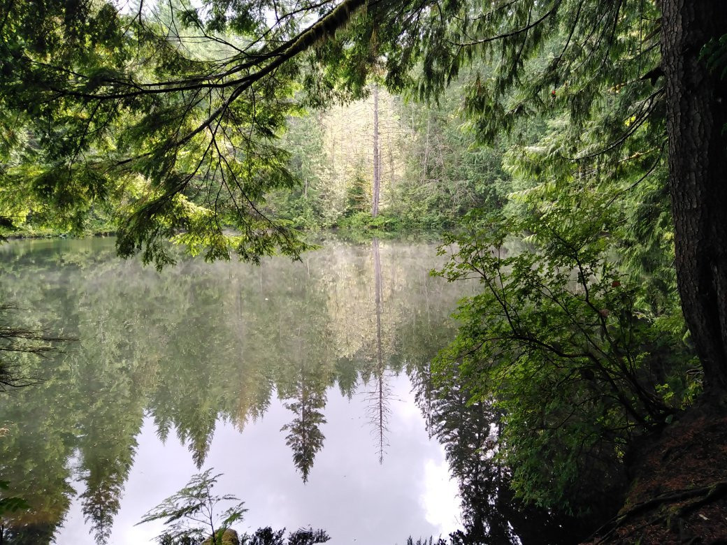 Alice Lake Provincial Park景点图片