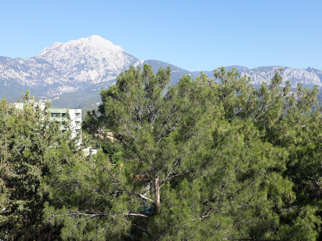 Club Festival Tekirova主图