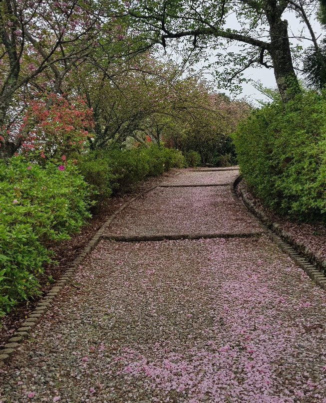 Mt.Tomisu Park-大洲市必去景点