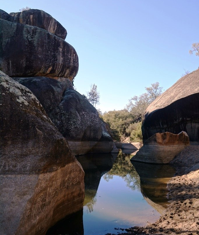 Cranky Rock Nature Reserve景点图片