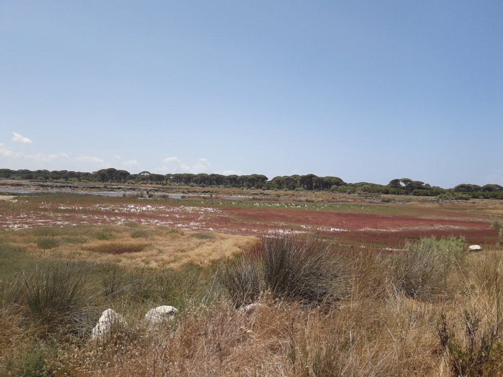 National Park of Kotychi and Strofylia Wetlands-Kalogria必去景点