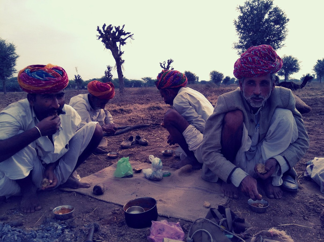 Camel Charisma-Sadri必去景点