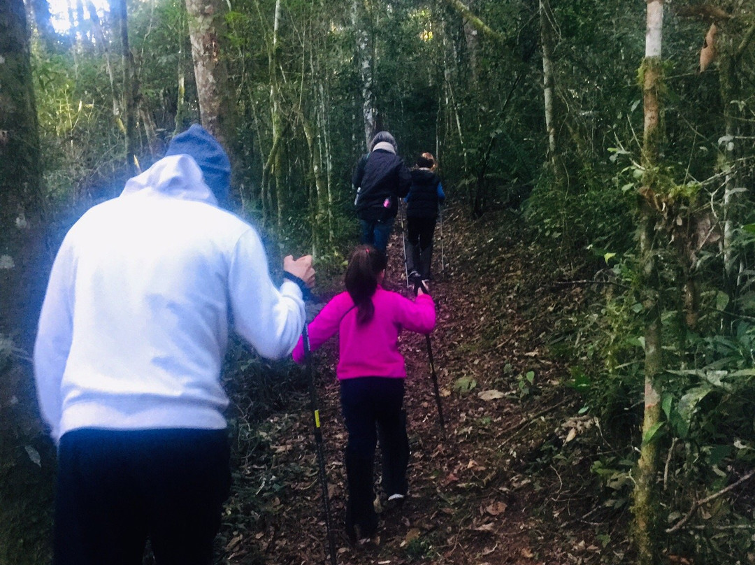 Rota das Araucarias-Sao Bento do Sapucai必去景点