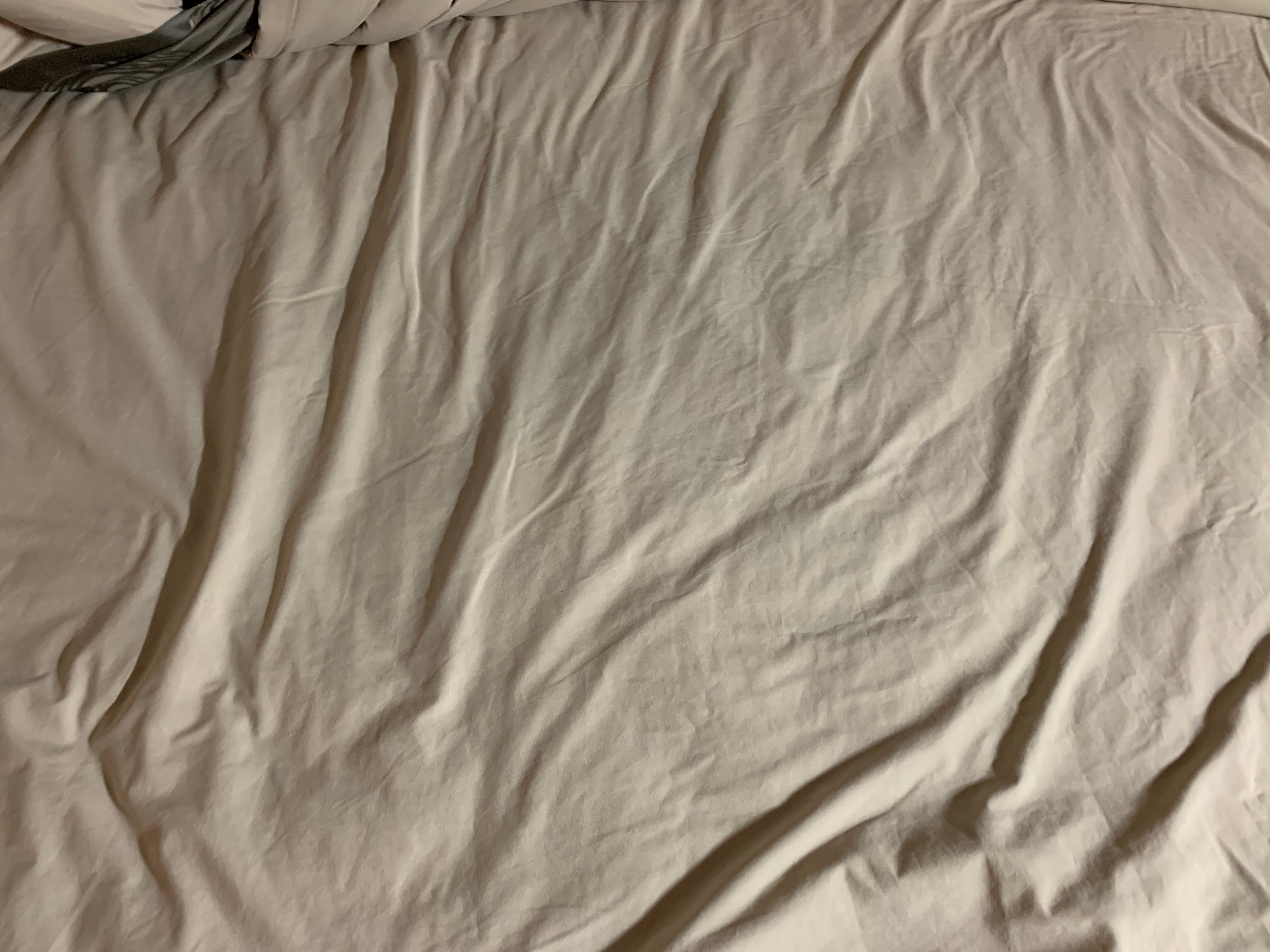 Cobar Copper City Motel-官方