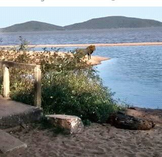 Praia Do Lami-阿雷格里港必去景点