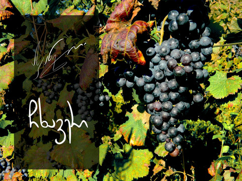 Askaneli Garden-第比利斯必去景点