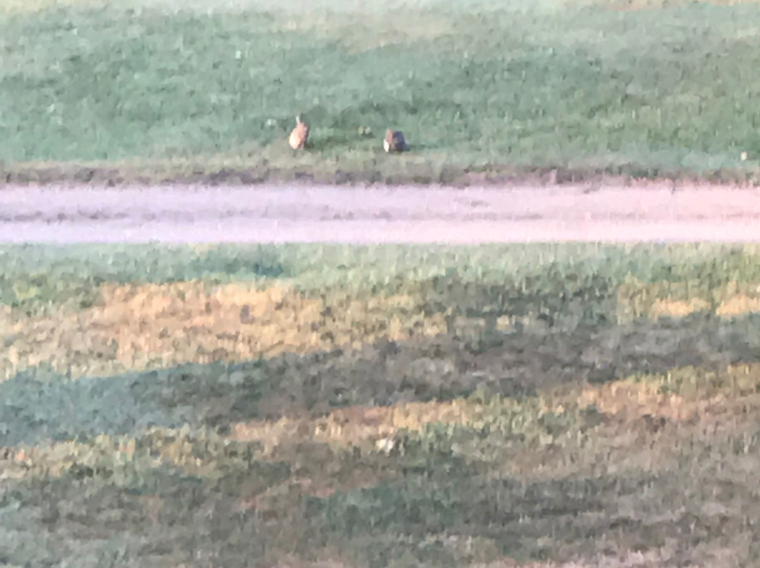 L'Orangerie de Chatel主图