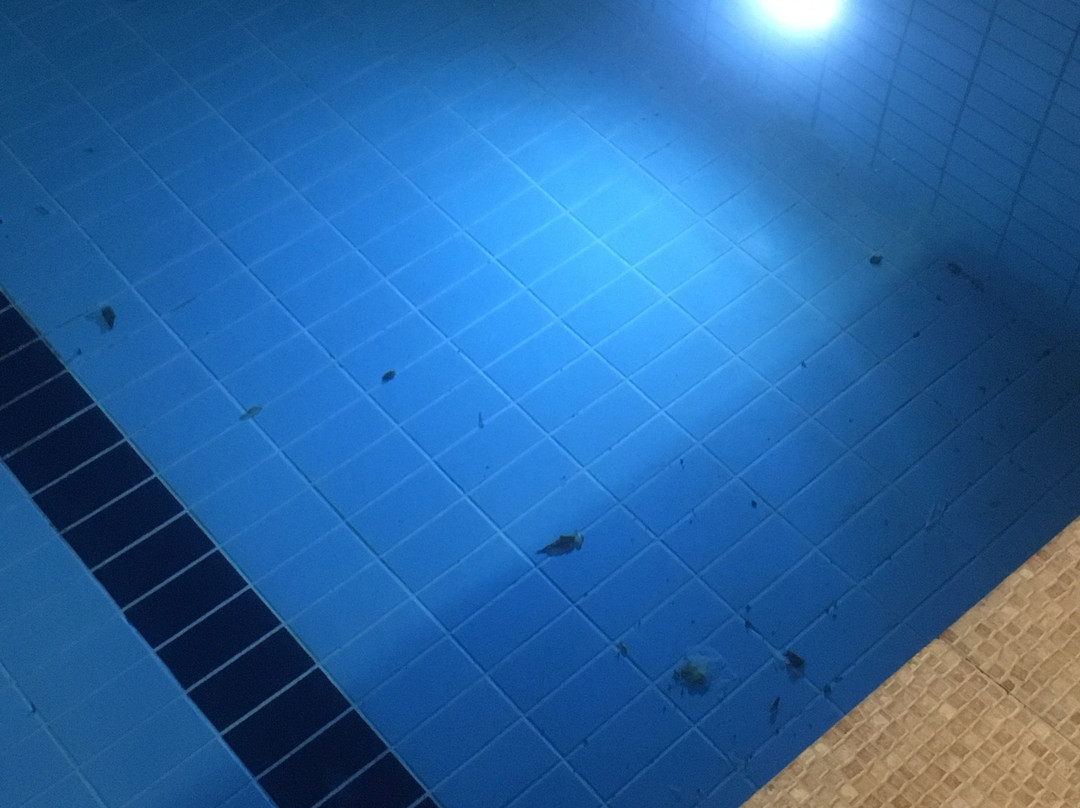 Cosman Aparthotel主图