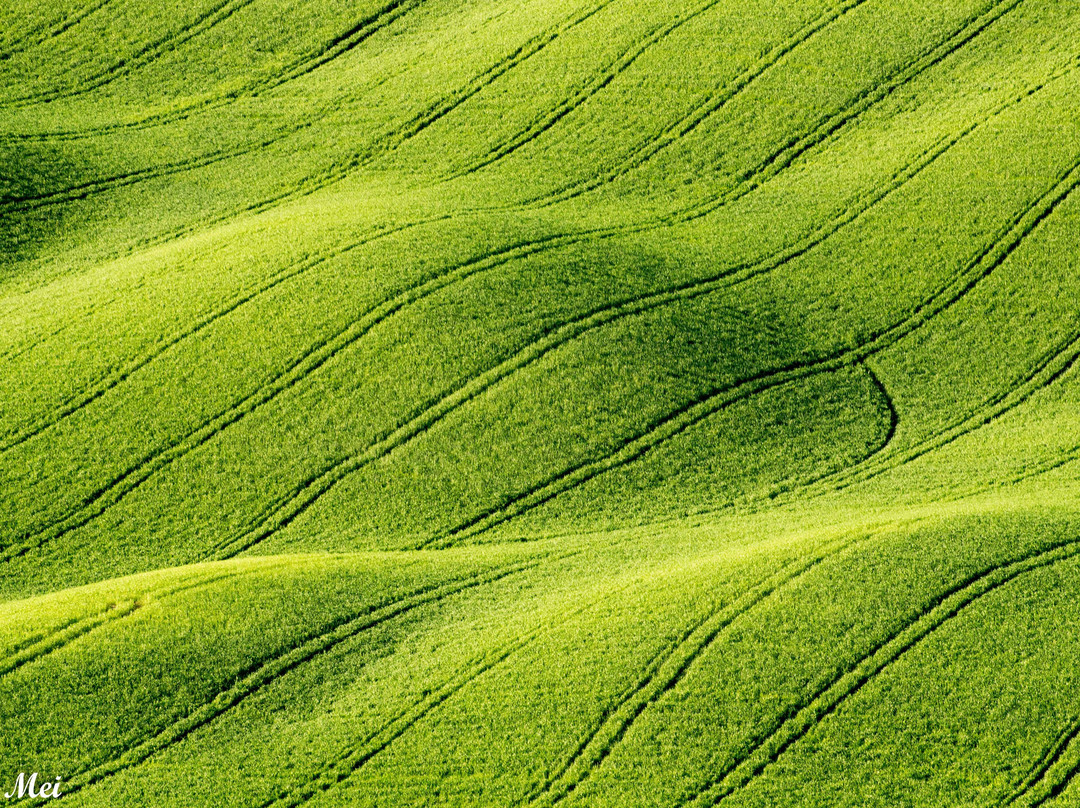Tuscany Photo Tours景点图片