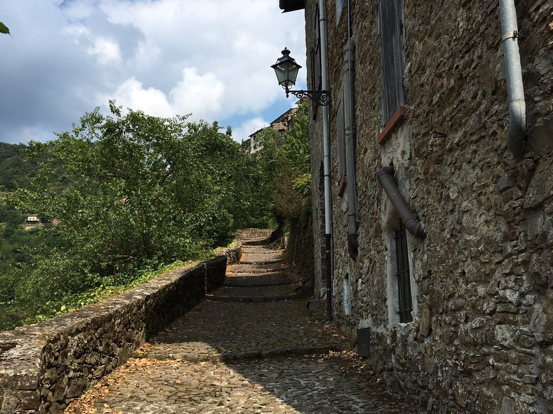 Castello della Lucertola景点图片