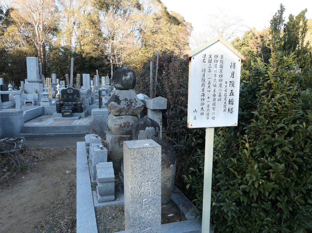 Ushiku Castle Ruins-牛久市必去景点