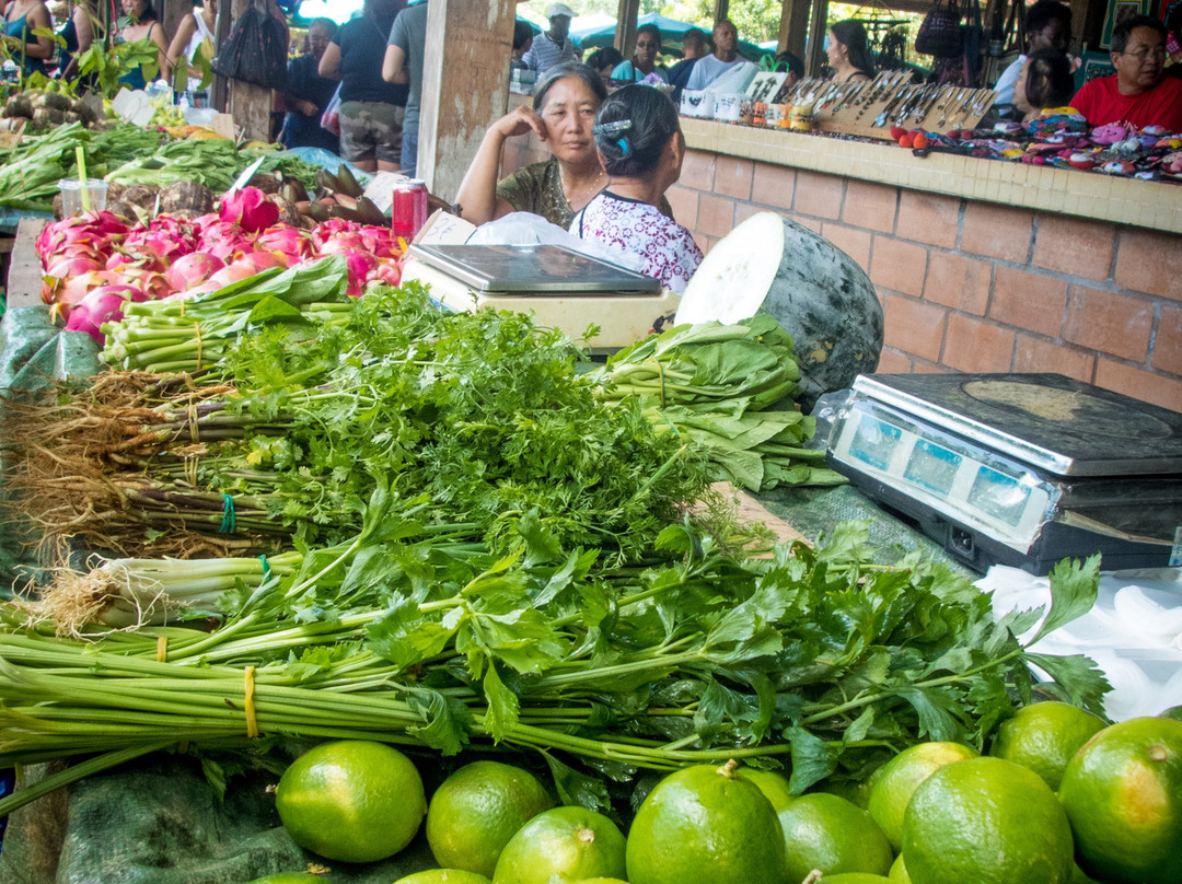 Cacao Village-Roura必去景点