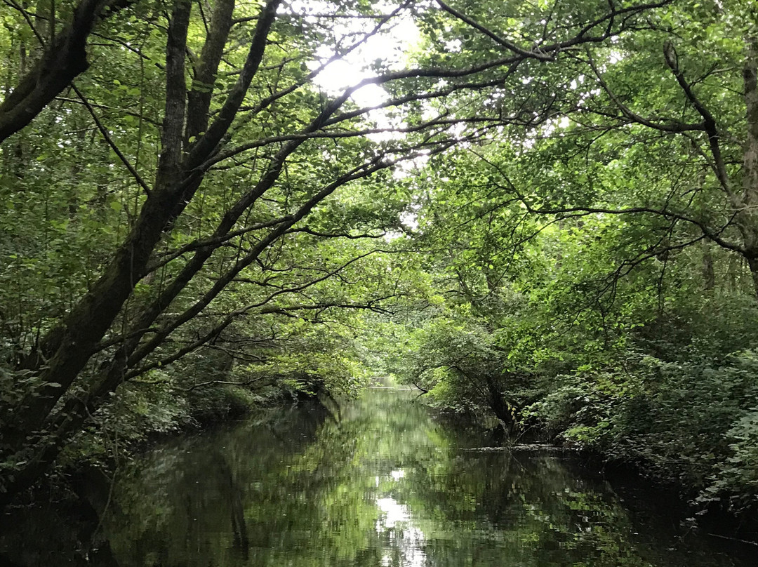Paliastomi Lake-Poti必去景点