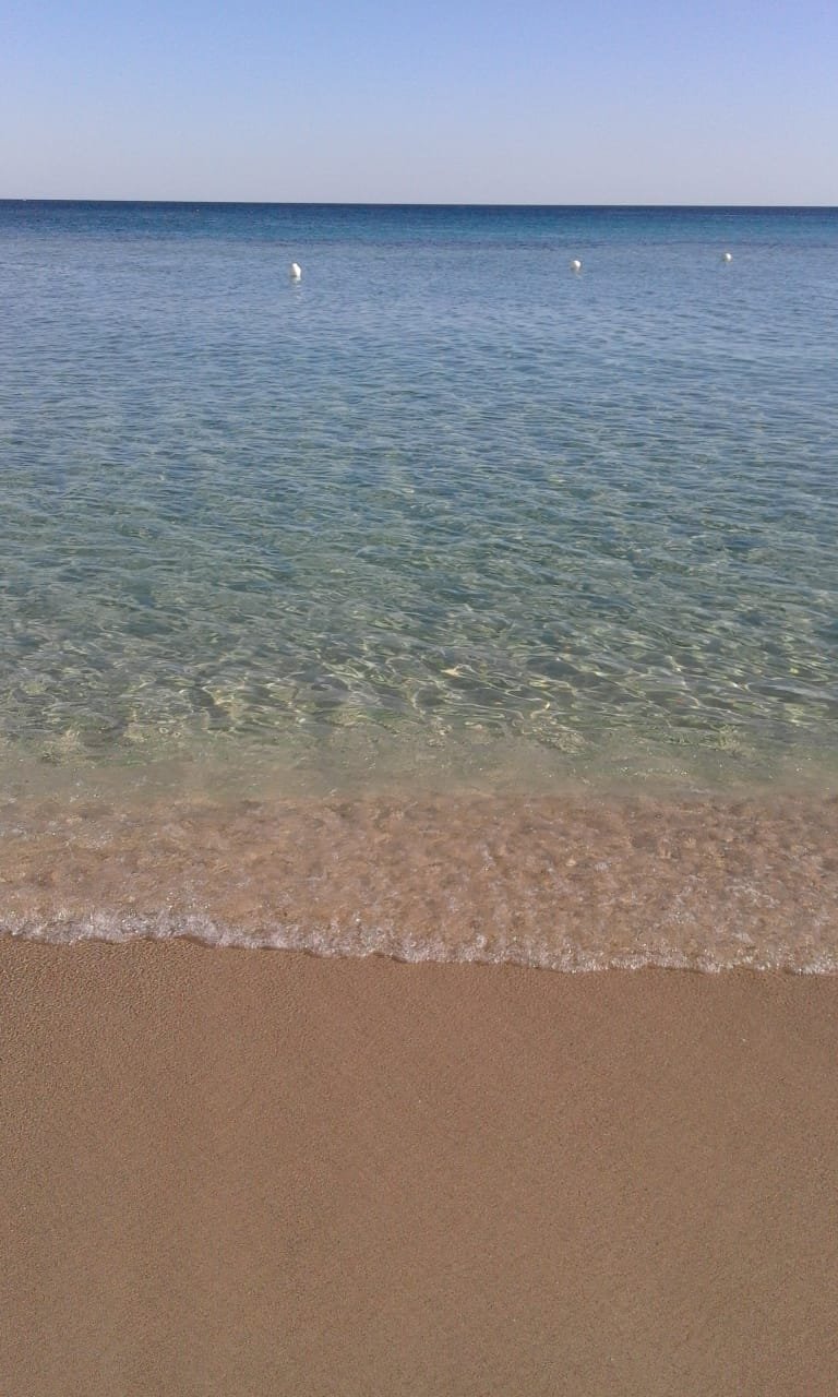 Eurovillage Bluesea Club-泳池
