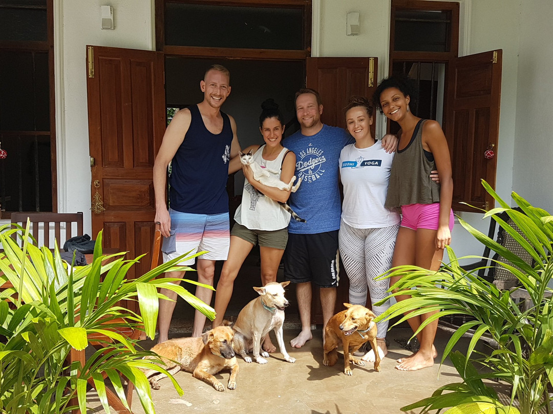 Parampara Yoga & Meditation Retreats in Mallorca-萨波夫拉必去景点